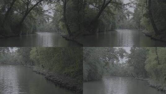 中国南方江浙沪湿地森林公园溪水湖泊户外高清在线视频素材下载