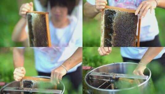 蜜蜂 养蜂人 蜂农高清在线视频素材下载