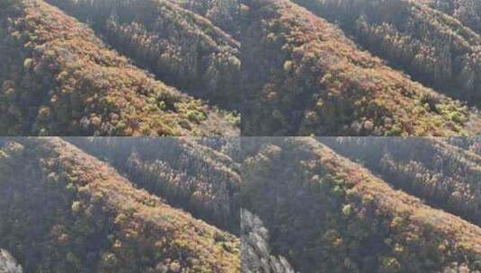 航拍辽宁千山色彩斑斓的秋景高清在线视频素材下载