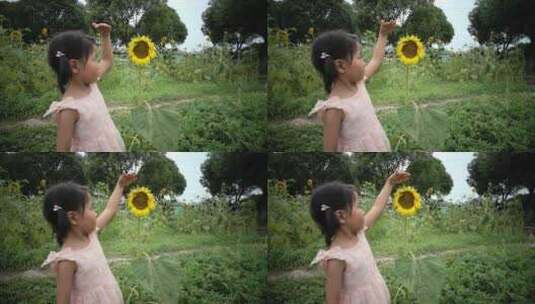 儿童用手跟向日葵比高高清在线视频素材下载