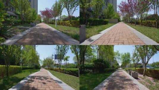 春天铺满樱花的公园小路高清在线视频素材下载