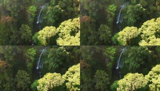 鸟瞰仙丹吉乐瀑布，塞纳鲁龙目岛，印度尼西高清在线视频素材下载