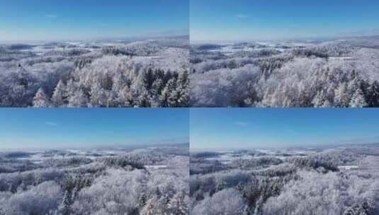 航拍冬天美丽的雾凇立冬大雪小雪大寒小寒高清在线视频素材下载