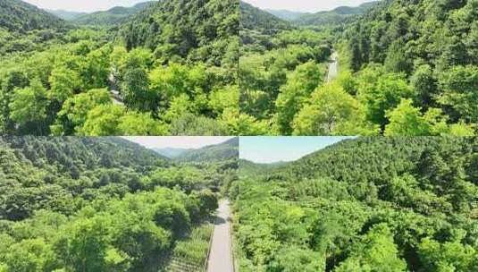 大气原始森林航拍高清在线视频素材下载