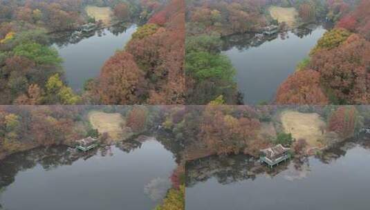 深秋的南京流徽榭流徽湖风光航拍素材高清在线视频素材下载