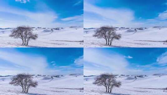 冬季内蒙古乌兰布统蓝天白云雪景高清在线视频素材下载