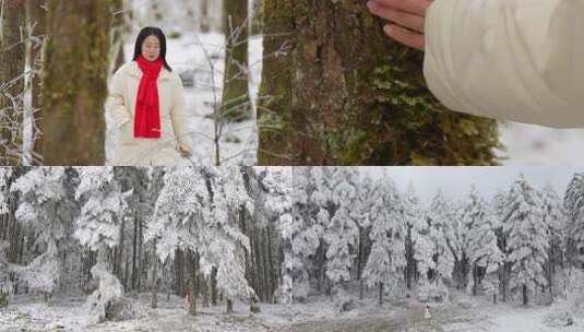 女生走在雪后的鹿儿坪森林中慢镜头合集高清在线视频素材下载