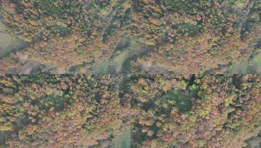 四川德阳罗江区附近山林秋色高清在线视频素材下载