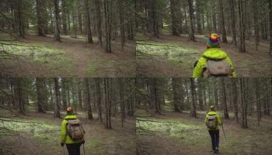 在森林里徒步的背包客高清在线视频素材下载