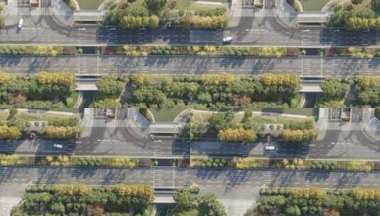 俯拍 城市 大道 绿化 植物 交通高清在线视频素材下载