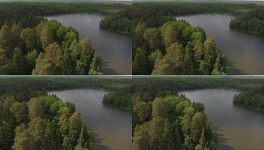 美丽的森林和湖泊高清在线视频素材下载