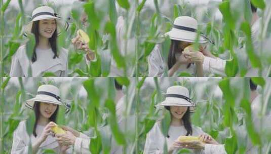 4K情侣掰玉米高清在线视频素材下载