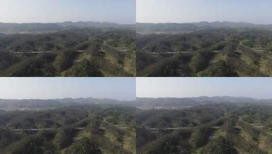大气湖南丘陵山川森林航拍高清在线视频素材下载