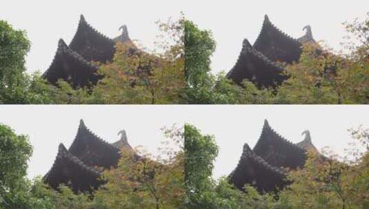 杭州三台山景区慧因高丽寺高清在线视频素材下载