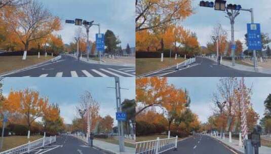秋季的城市，公路和红绿灯高清在线视频素材下载