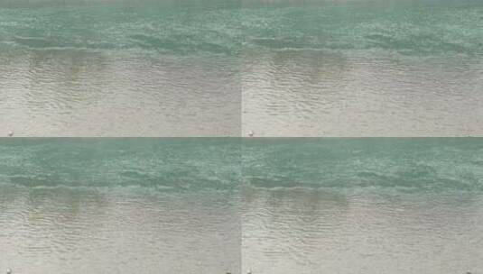 美丽清澈的清江河河水水流高清在线视频素材下载
