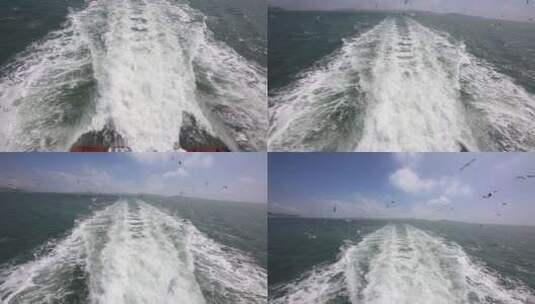 海洋风光一群海鸥跟船高清在线视频素材下载