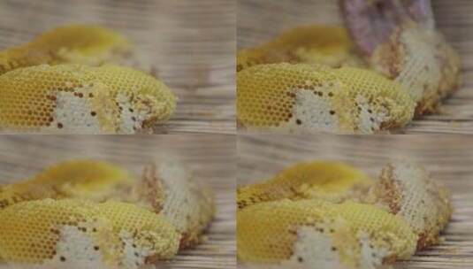野生新鲜蜂蜜蜂巢特写高清在线视频素材下载