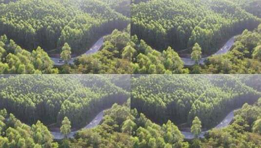 森林公路航拍树林道路汽车行驶航拍山区山路高清在线视频素材下载