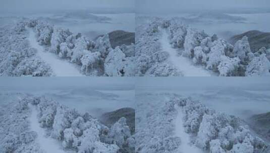 杭州临安大明山牵牛岗森林雪景云海航拍高清在线视频素材下载