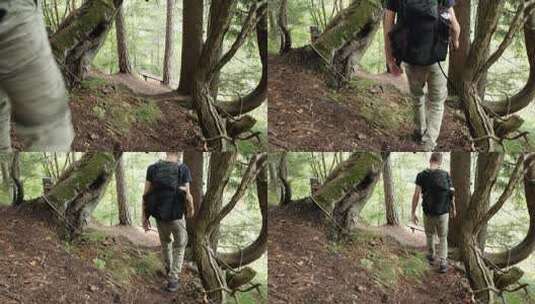 一名男子穿过一片非常陡峭的森林高清在线视频素材下载