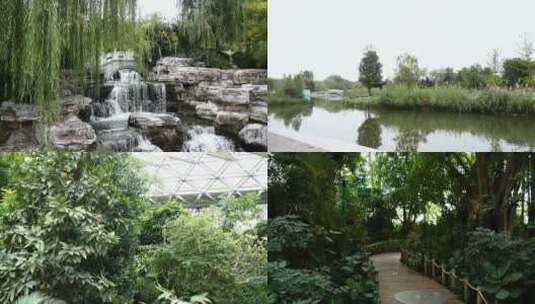 公园 花园 热带植物园高清在线视频素材下载