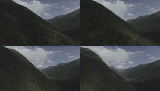 4K航拍雅拉雪山溪流自然树林高清在线视频素材下载