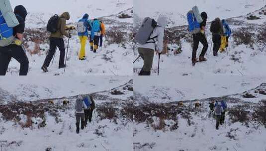 攀登岷山山脉都日峰的登山者在雪中徒步行进高清在线视频素材下载