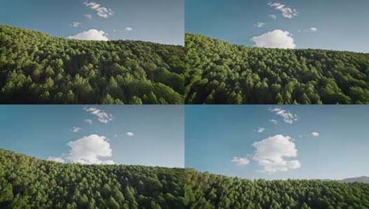 蓝天白云下的森林高清在线视频素材下载