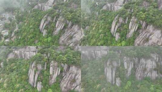 航拍福建宁德福鼎茶山白茶祖地高清在线视频素材下载