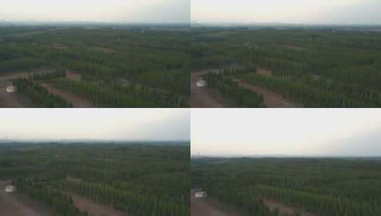 傍晚航拍河北农村植树造林户外场景高清在线视频素材下载