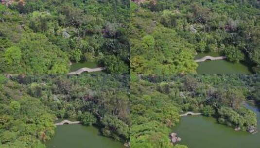 航拍厦门植物园景观高清在线视频素材下载