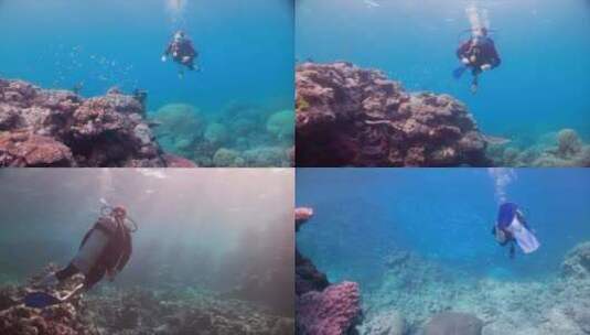 【合集】深海潜水鱼群珊瑚礁高清视频高清在线视频素材下载