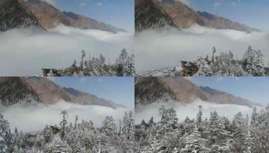 冬季海螺沟冰川森林公园雾凇雪景云海航拍高清在线视频素材下载