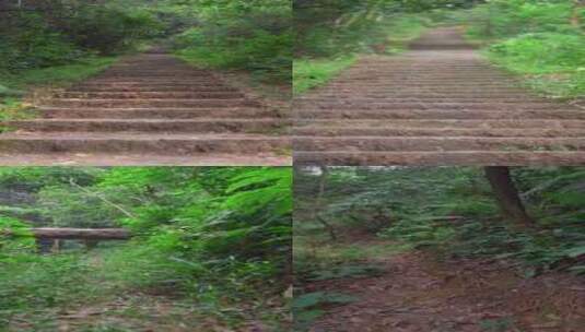广州原始森林爬山道路台阶泥土路高清在线视频素材下载