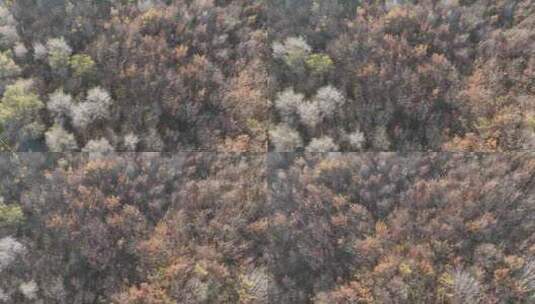 辽阳龙石景区山林秋季风光高清在线视频素材下载