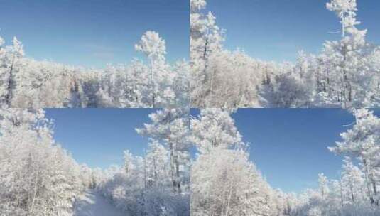 航拍内蒙古大兴安岭冰雪雾凇、雪凇高清在线视频素材下载