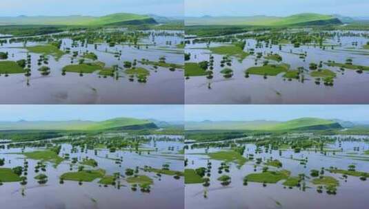 额尔古纳湿地高清在线视频素材下载