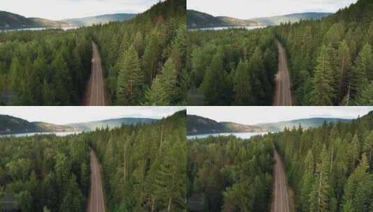 航拍绿色森林公路高清在线视频素材下载