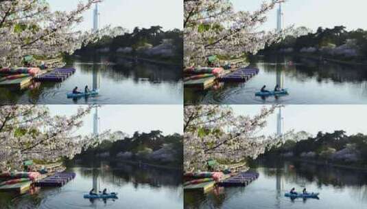春天樱花树下划船春游休闲度假高清在线视频素材下载