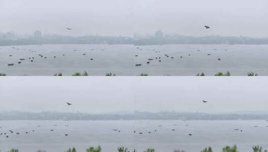 4K超高码率飘扬的风筝雨天西湖岸边高清在线视频素材下载