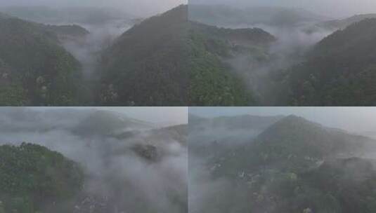 森林云雾 绿色自然 茶园云雾 唯美自然高清在线视频素材下载