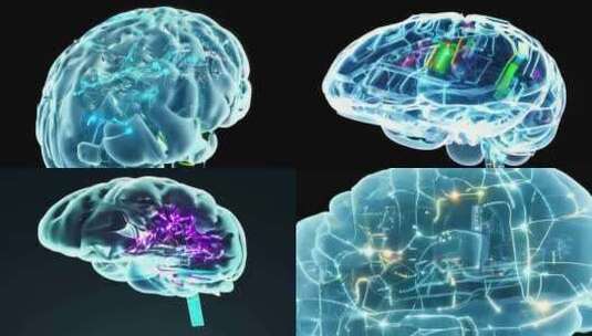 全息大脑 科技大脑 脑机接口高清在线视频素材下载