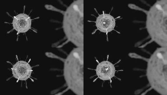 病毒细菌三维模型高清在线视频素材下载