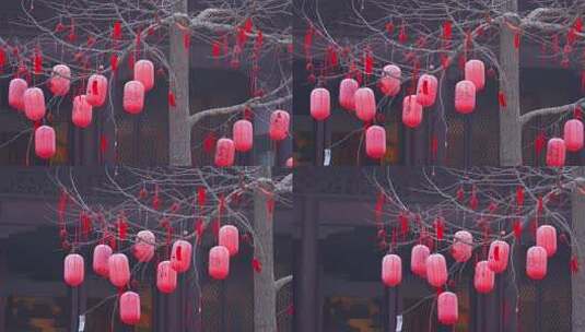 杭州西湖钱王祠新年祈福红灯笼高清在线视频素材下载