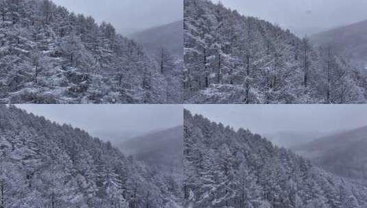 航拍东北下暴雪林海雪原威虎山高清在线视频素材下载