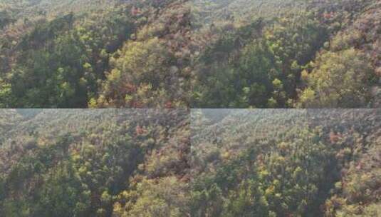 辽阳龙石景区山林秋季风光高清在线视频素材下载