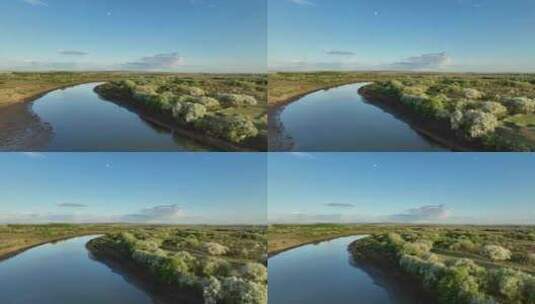 呼伦贝尔自然风光海拉尔河湿地风景山丁子花高清在线视频素材下载