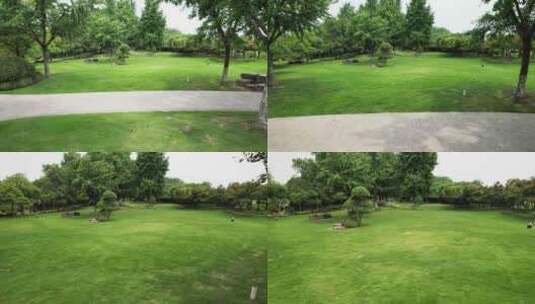 城市公园树林草木高清在线视频素材下载