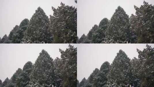 下雪的园林高清在线视频素材下载